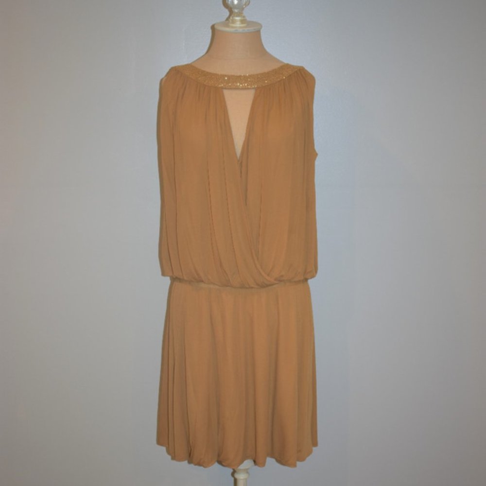 Alberta Ferretti NWT Drop Waist Dress sz 44 8